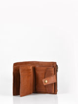 Portemonnee Cow Leder Basilic pepper Bruin cow BCOW94-vue-porte